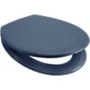 Euroshowers Rainbow Soft Close Toilet Seat - Denim