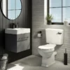 Cruze Black Modern Cistern Lever